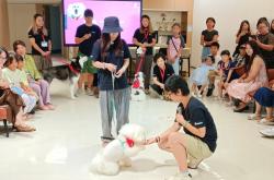 ​“狗狗医生”坐诊，这场沙龙探索儿童心理疗愈新路径
