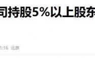 资金占用强制退市规则显威：2家上市公司如期清收 近20亿元占用资金