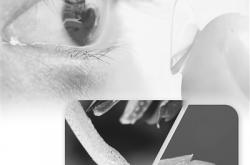 红外隐形眼镜开启人类新“视”界