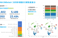 华大智造2025年上半年测序仪销量增超60%，智能自动化与多组学协同开辟新增长曲线