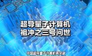 我国科学家在百比特量子芯片上实现新奇量子物态