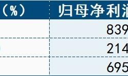“三桶油”上半年业绩集体下行，纷纷大力布局新能源