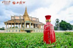 名酒保住增长，白酒业即将穿越周期？