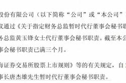 元创股份IPO：多位核心技术人员学历突升，董秘入职时间存疑