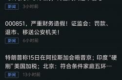 七年财务造假 *ST广道拟被强制退市