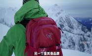 爱马仕配货诉讼被驳回；始祖鸟道歉；古驰又换CEO｜二姨看时尚
