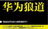 华为系高管辞职去海外卖户储，公司毛利率超50%急上市