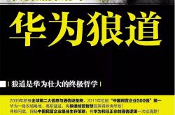 华为系高管辞职去海外卖户储，公司毛利率超50%急上市
