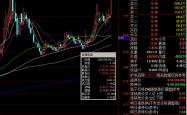 闻泰科技因存在尚未披露的重要信息停牌