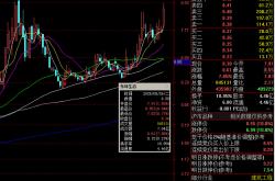 闻泰科技因存在尚未披露的重要信息停牌