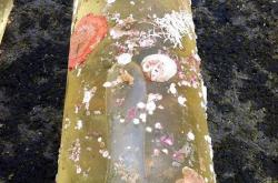 从石沉大海到神奇出现——北冰洋生态海底着陆器惊险回收记