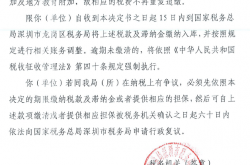 优迅股份回应“涉嫌虚开软件发票骗取退税”质疑