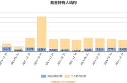 上半年利润暴跌超470%，莱斯信息称多数项目将在下半年验收