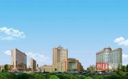 武汉搭建医企合作桥，助力医药企业内镜创新产品迈向“手术台”