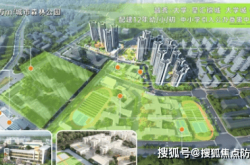50亿元地票到手超一年，越秀地产终于落子番禺