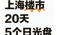 32套大户型只卖了一半？上海豪宅市场消失的“日光盘”