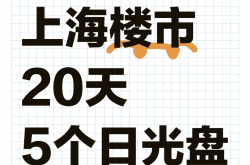 32套大户型只卖了一半？上海豪宅市场消失的“日光盘”