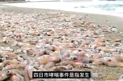 寒武纪42.87亿元劳动纠纷的三重警示