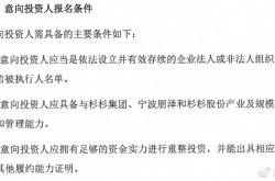 杉杉集团重整投资人二次“选秀”，方大系入局