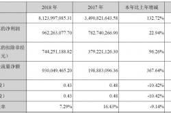 世纪华通王佶：公司营收世界第六，尚未观测到《无尽冬日》顶峰