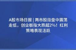 A股震荡盘整 冰雪经济概念表现活跃