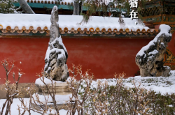 一场初雪，故宫、环球影城又“爆”了