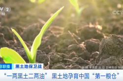 张春新离开沛华 在任期间理顺白酒业务定位