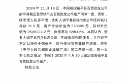 2024年以来证监会累计查办财务造假案件159起
