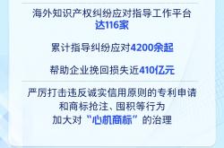 新华社权威速览|数读知识产权强国建设