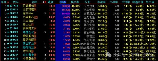 从14家锂业个股业绩预告中看分化趋势：减值损失引变量