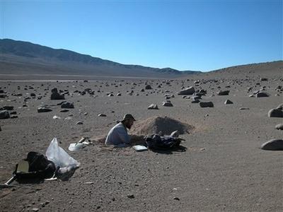 新方法鉴别出两种极端微生物 有助天体生物学家寻找外星生命