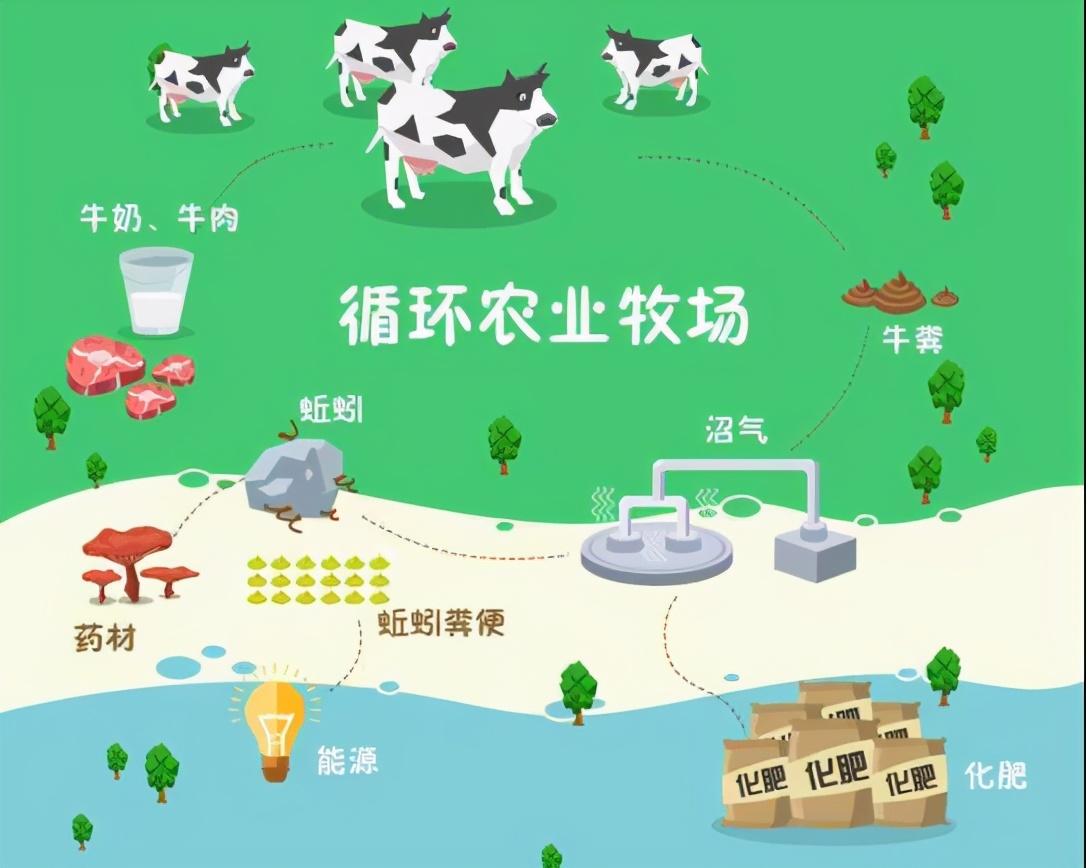 抓住发展循环经济的重要机遇