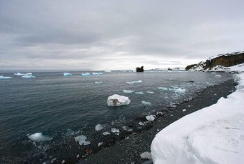 《探南极》系列访谈第三期丨全球变暖，南极海冰融化有多严重？