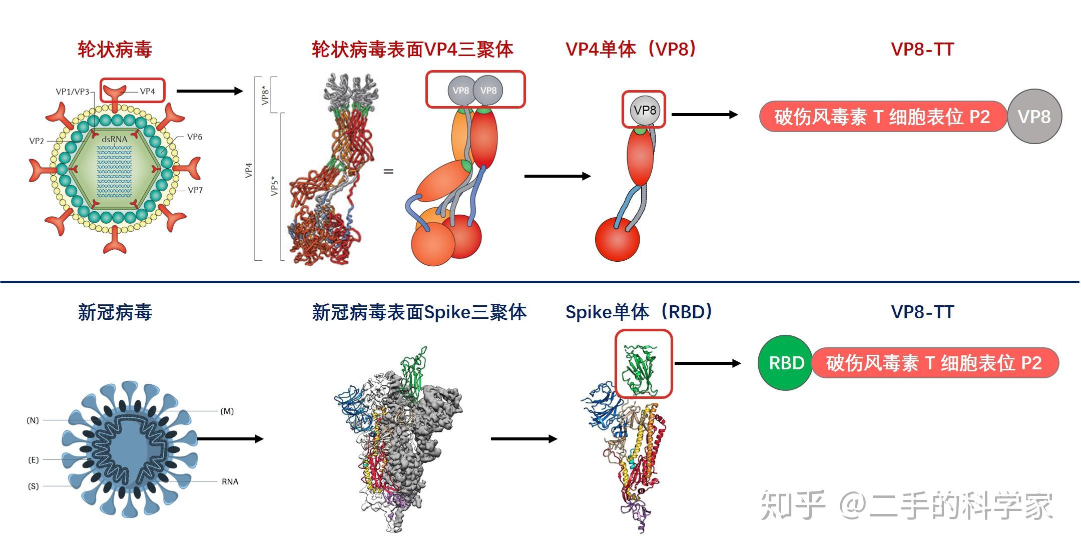 艾美疫苗迭代无血清狂苗三期临床数据达预设目标 重磅创新大单品有望填补全球空白