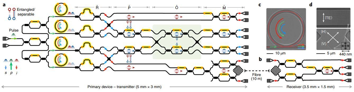 中国科学家在“连续变量”集成光量子芯片领域实现新突破