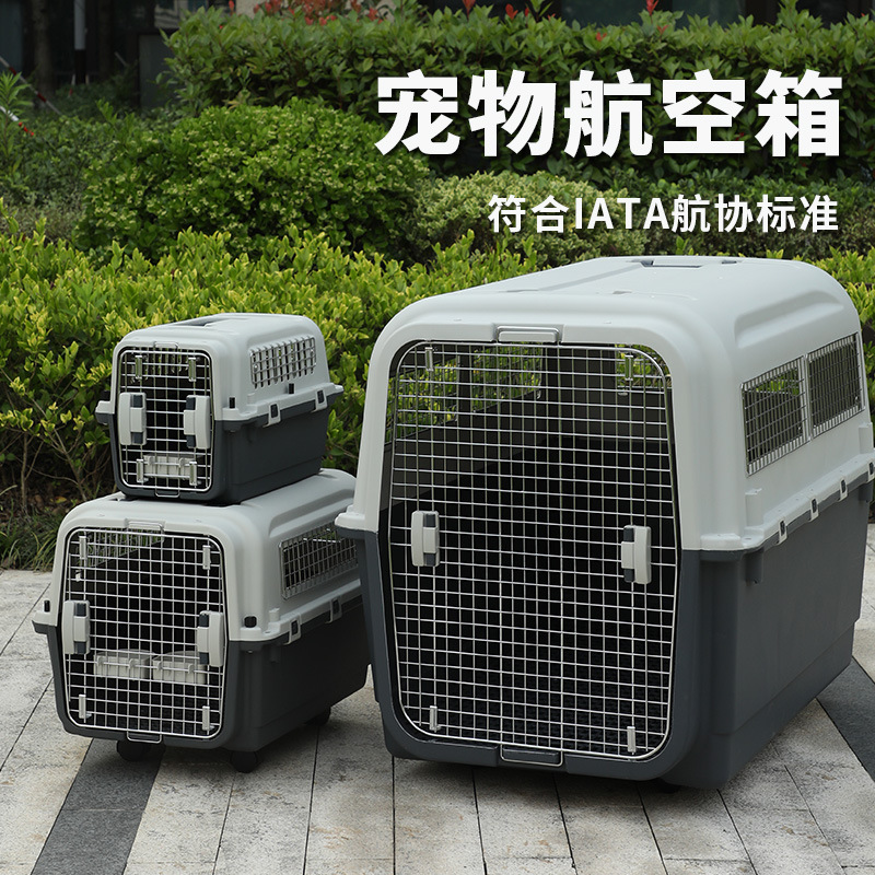 高铁宠物托运:“智能监测+运输箱”打造萌宠专属舱