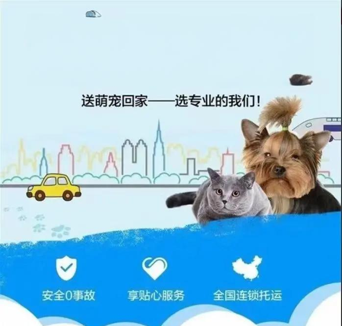高铁宠物托运:“智能监测+运输箱”打造萌宠专属舱