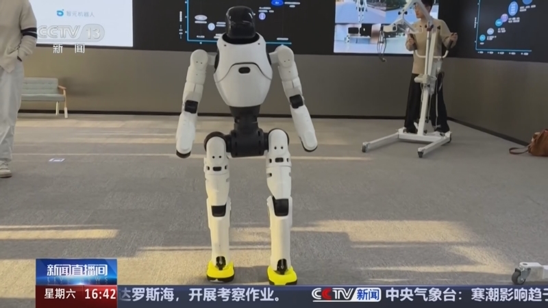 人形机器人何时进入百姓家