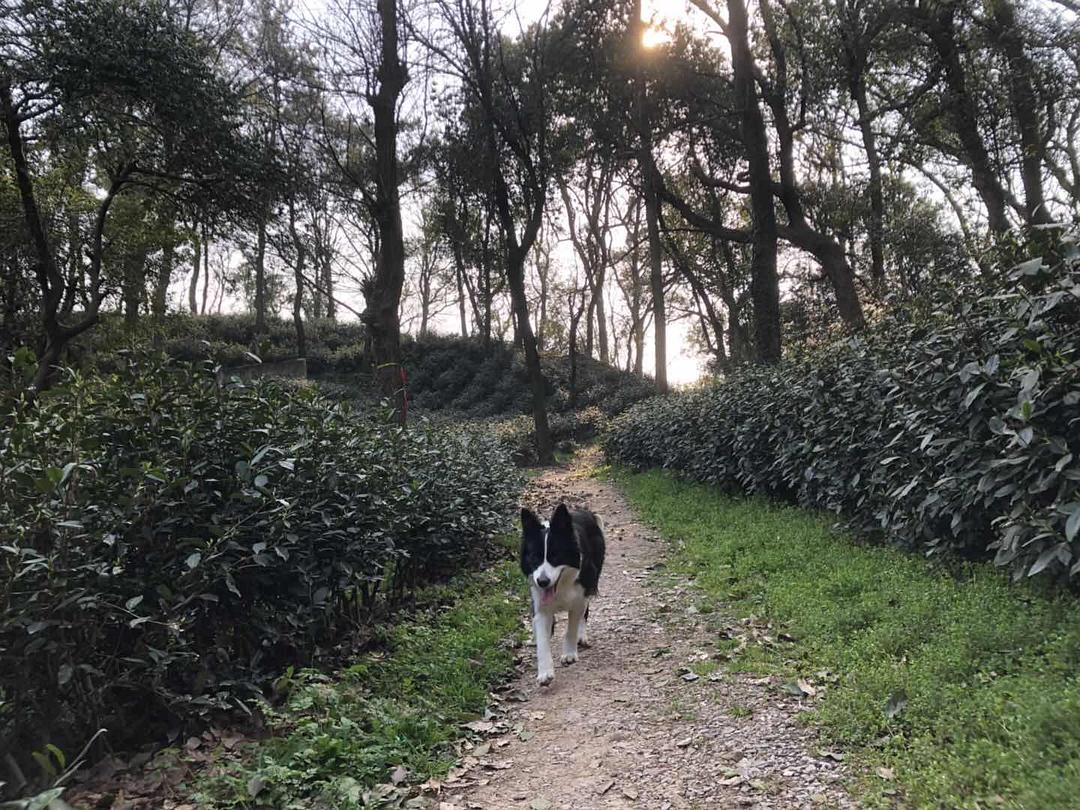 “杭漂”两年,辛选集团搬回广州