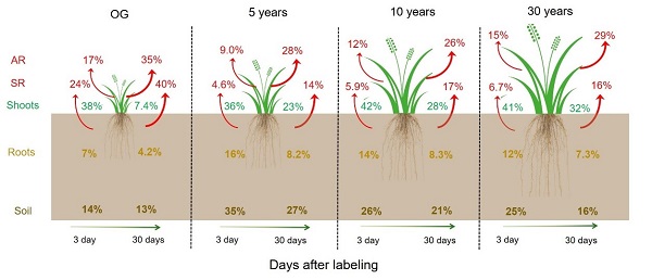 1:50万草地植被图发布 印证青藏高原“变暖变湿”趋势