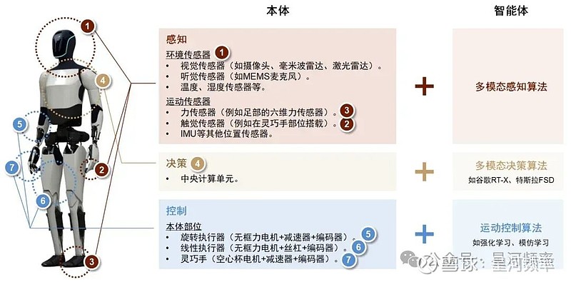 汽车产业与具身智能“双向奔赴”