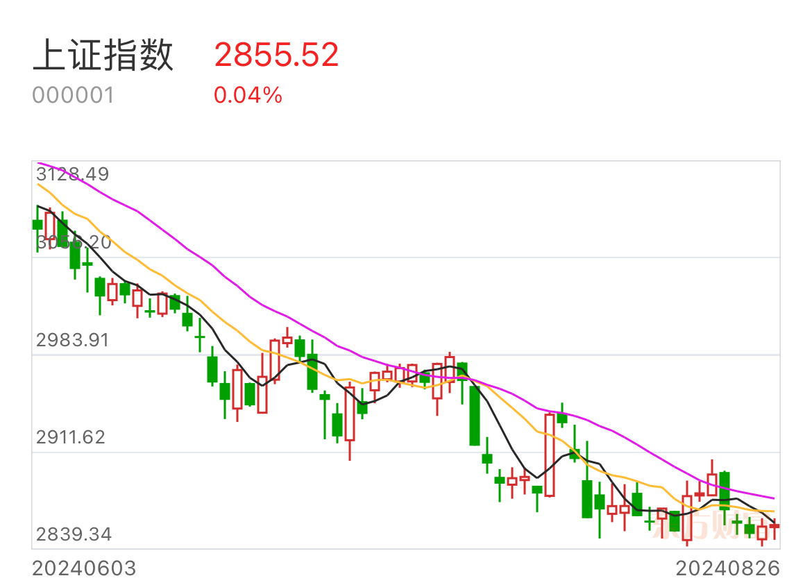 权重搭台、科技成长唱戏 上证指数再创今年以来新高