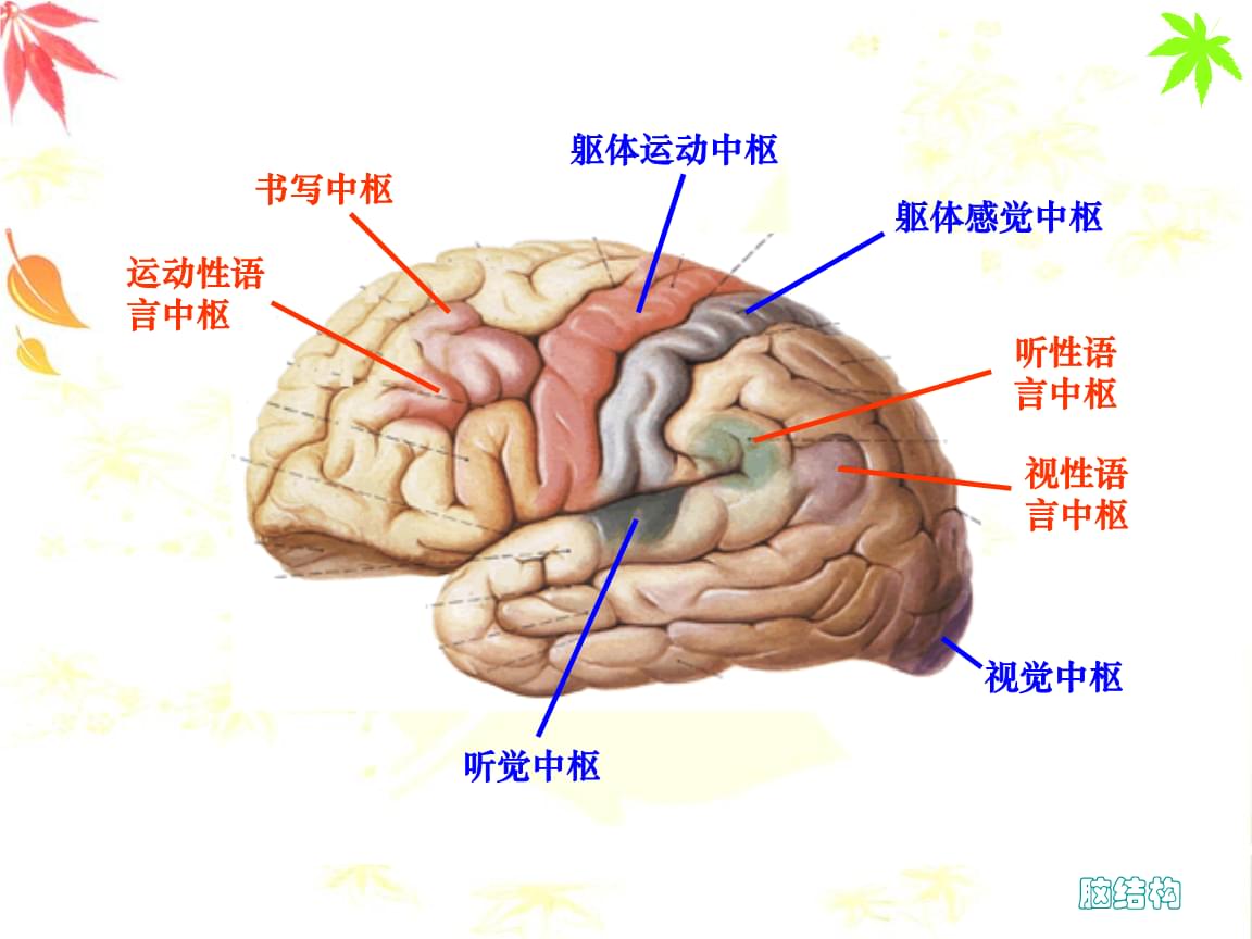 阿里蚂蚁AI眼镜重构“感官中枢” 支付革命引爆硬件新战局