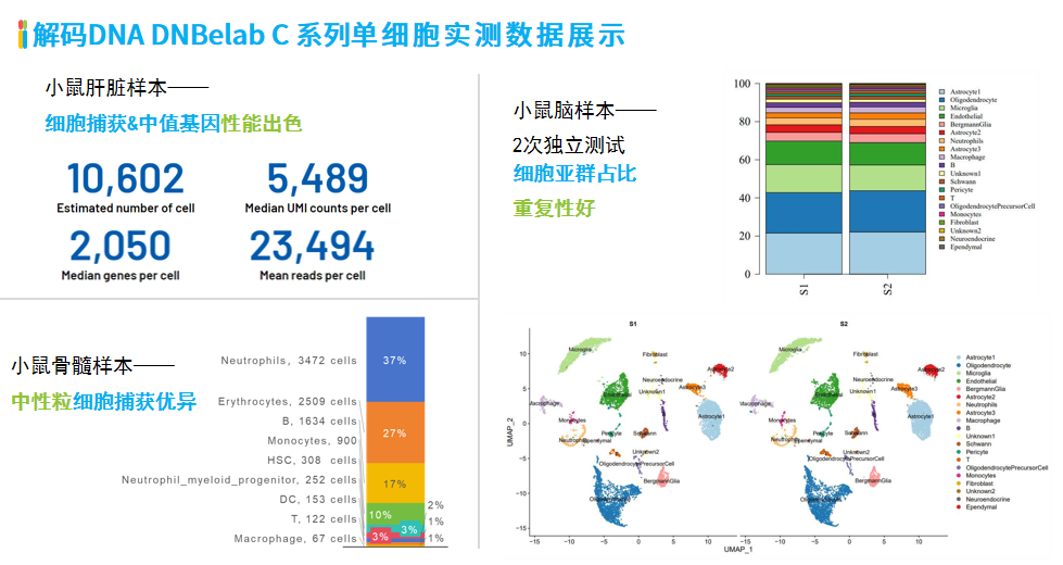 华大智造2025年上半年测序仪销量增超60%，智能自动化与多组学协同开辟新增长曲线