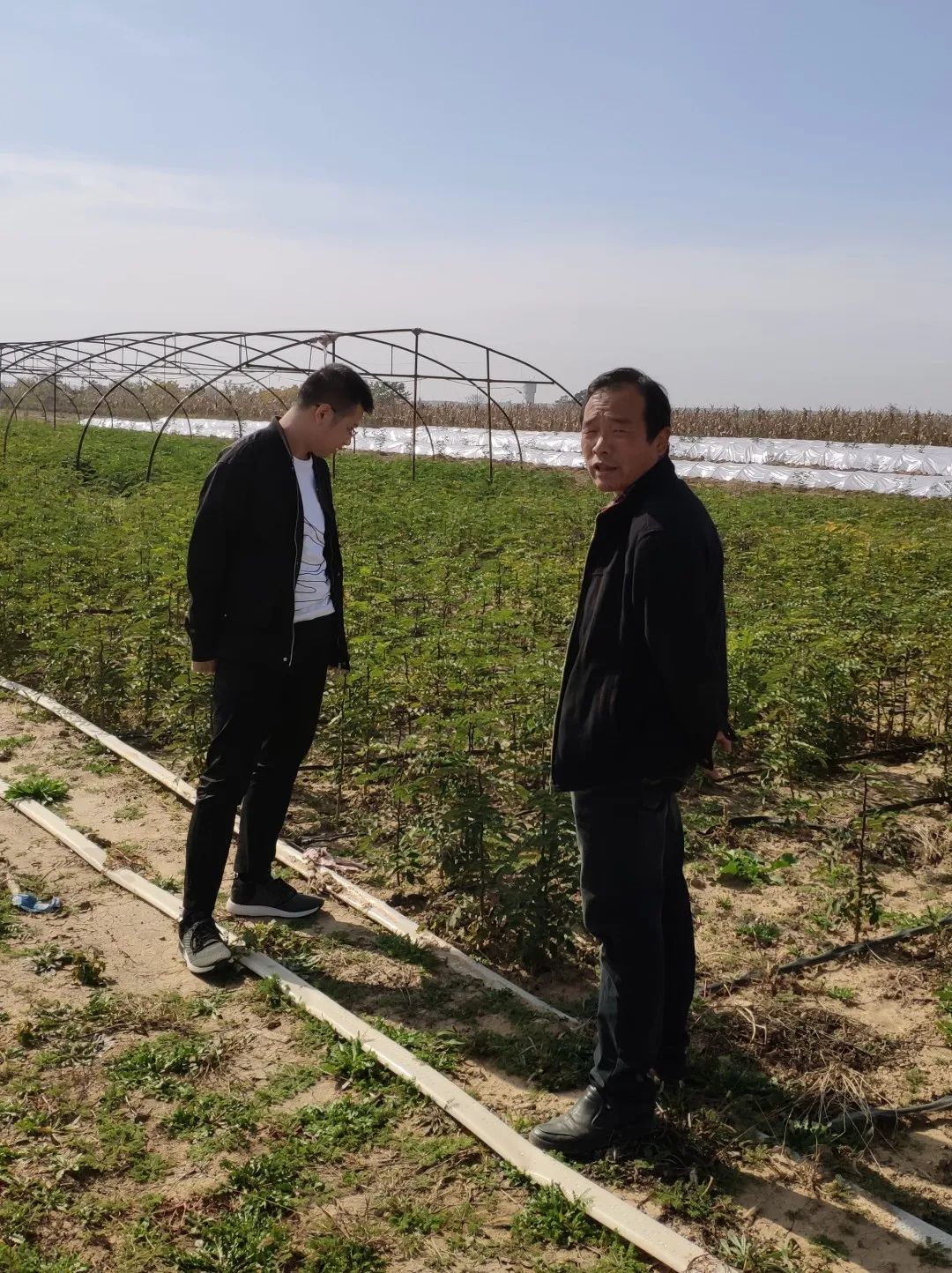 21专访｜做二手生意的转转 为何在北京二环开3千平米大店？