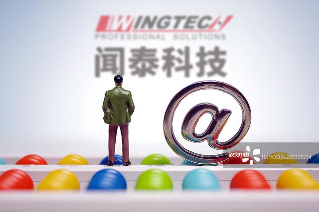 闻泰科技的“安世之乱”