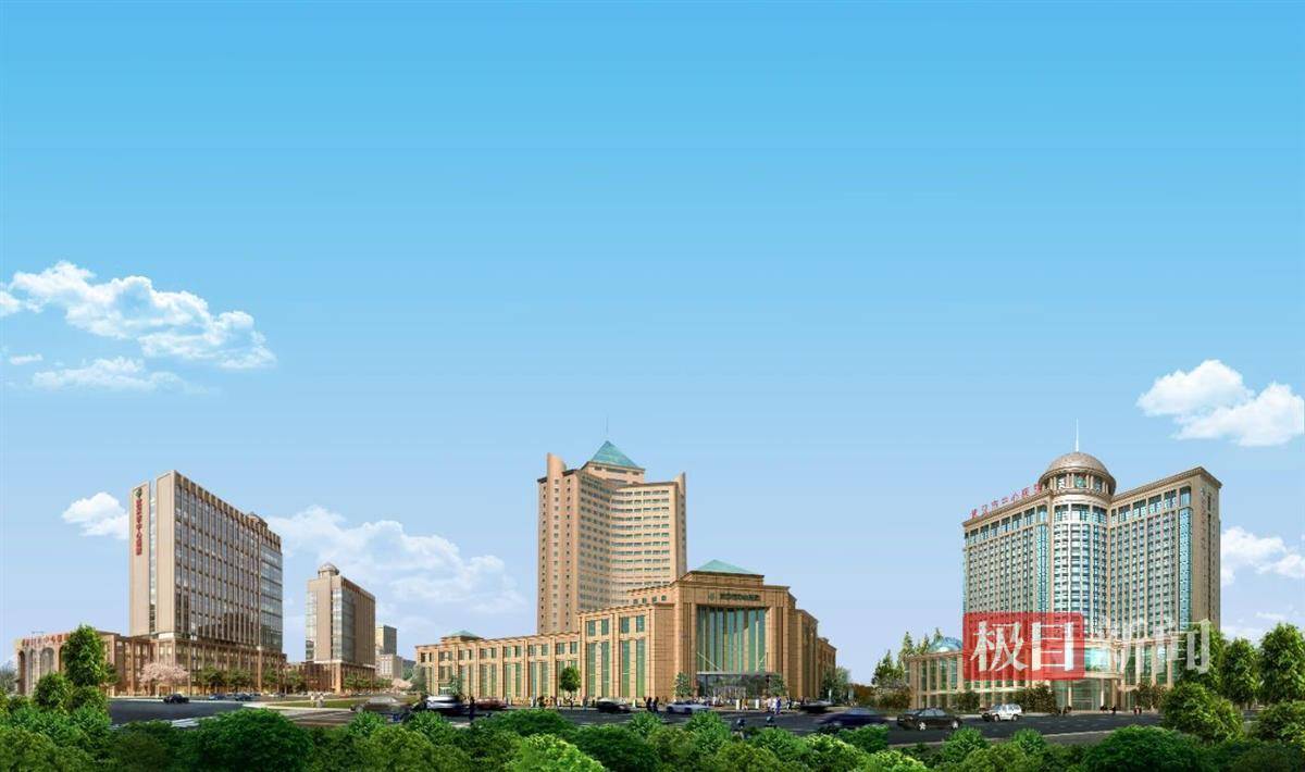 武汉搭建医企合作桥，助力医药企业内镜创新产品迈向“手术台”
