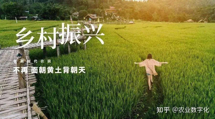 “十四五”身边事｜农村电商，物流“链”动致富路