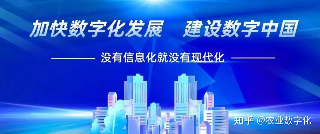 “十四五”身边事｜农村电商，物流“链”动致富路