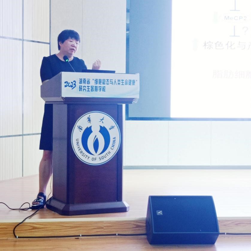 聚焦神二十一:小鼠“飞天”记